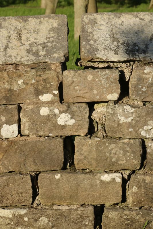 Stone Wall Repair in Aledo, TX